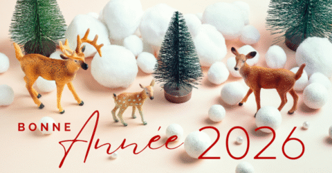 Bonne année 2026!