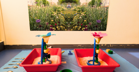 Retour sur l&rsquo;immersion « Voyage au coeur du jardin »